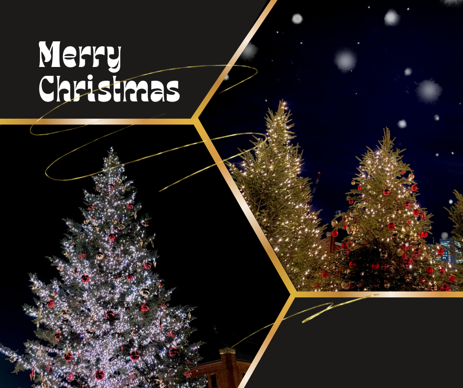 大きなクリスマスツリー